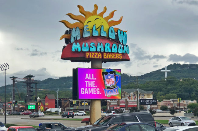 Mellow Mushroom LED Digital Sign